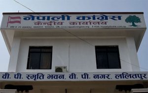 कांग्रेस विधान परिमार्जनसहित बहुमतले पारित