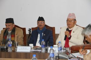 घरेलु मदिरा ब्रान्डिङ गरी बिक्रि प्रबर्दन गरिने