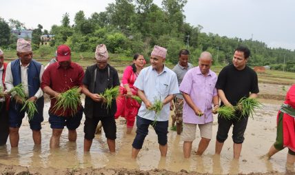 कर्णाली प्रदेशको आर्थिक समृद्धिको आधार कृषि हो मुख्यमन्त्री कँडेल कर्णाली प्रदेशको आर्थिक समृद्धिको आधार कृषि हो मुख्यमन्त्री कँडेल