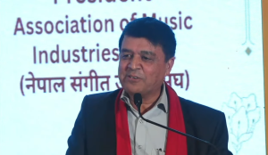 सरकारले ल्याएको ‘प्राइभेट सेक्टर प्रोटेक्सन एण्ड प्रमोशन प्लान’ उपयोगी : अध्यक्ष ढकाल