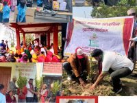 महालक्ष्मी विकास बैंकद्वारा विभिन्न सामाजिक उत्तरदायित्व कार्यक्रम सम्पन्न