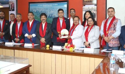 नवनिर्वाचित सांसद बसुमाया तामाङलाई NICCI द्वारा सम्मान