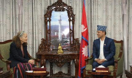 सभामुख अर्यालसँग संयुक्त राष्ट्रसंघकी आवासीय संयोजक याहियाको शिष्टाचार भेट