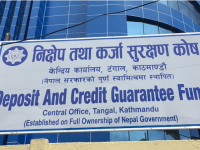 निक्षेप तथा कर्जा सुरक्षण कोषको सिइओमा डिलाराम गिरी नियुक्त
