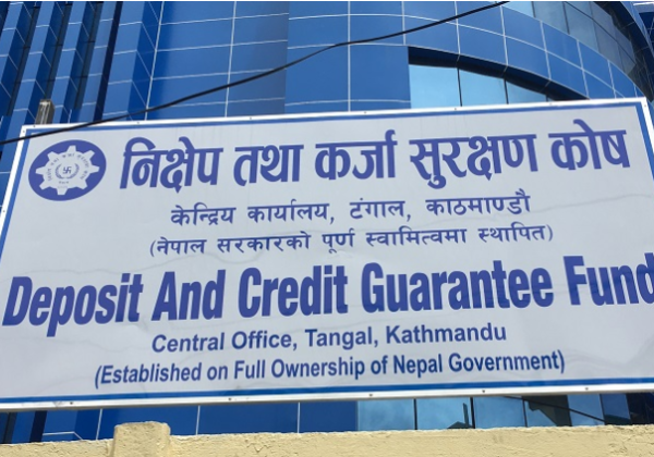 निक्षेप तथा कर्जा सुरक्षण कोषको सिइओमा डिलाराम गिरी नियुक्त