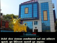 नेप्सेले योग्य संस्थागत लगानीकर्ताको दर्ता तथा नवीकरण खुलायो, बुक बिल्डिङमा सहभागी हुन आह्वान