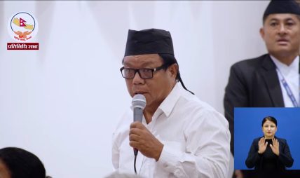 ट्याक्सीको ‘कालो प्लेट’ लिनै १५ लाख ! सिण्डिकेट र चलखेल भएको भन्दै प्रणाली खारेज गर्न महाविर पुनको माग