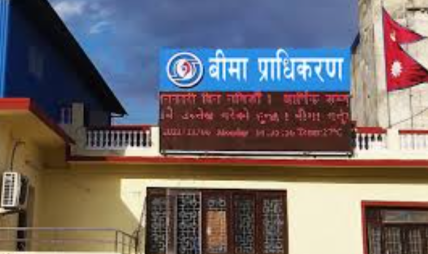 बीमा प्राधिकरणमा निर्देशकहरूको जिम्मेवारी हेरफेर