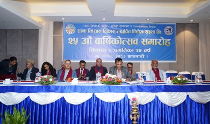 सरकार सात प्रतिशतको आर्थिक वृद्धि हासिल गर्ने गतिमा छ : उपाध्यक्ष भट्ट